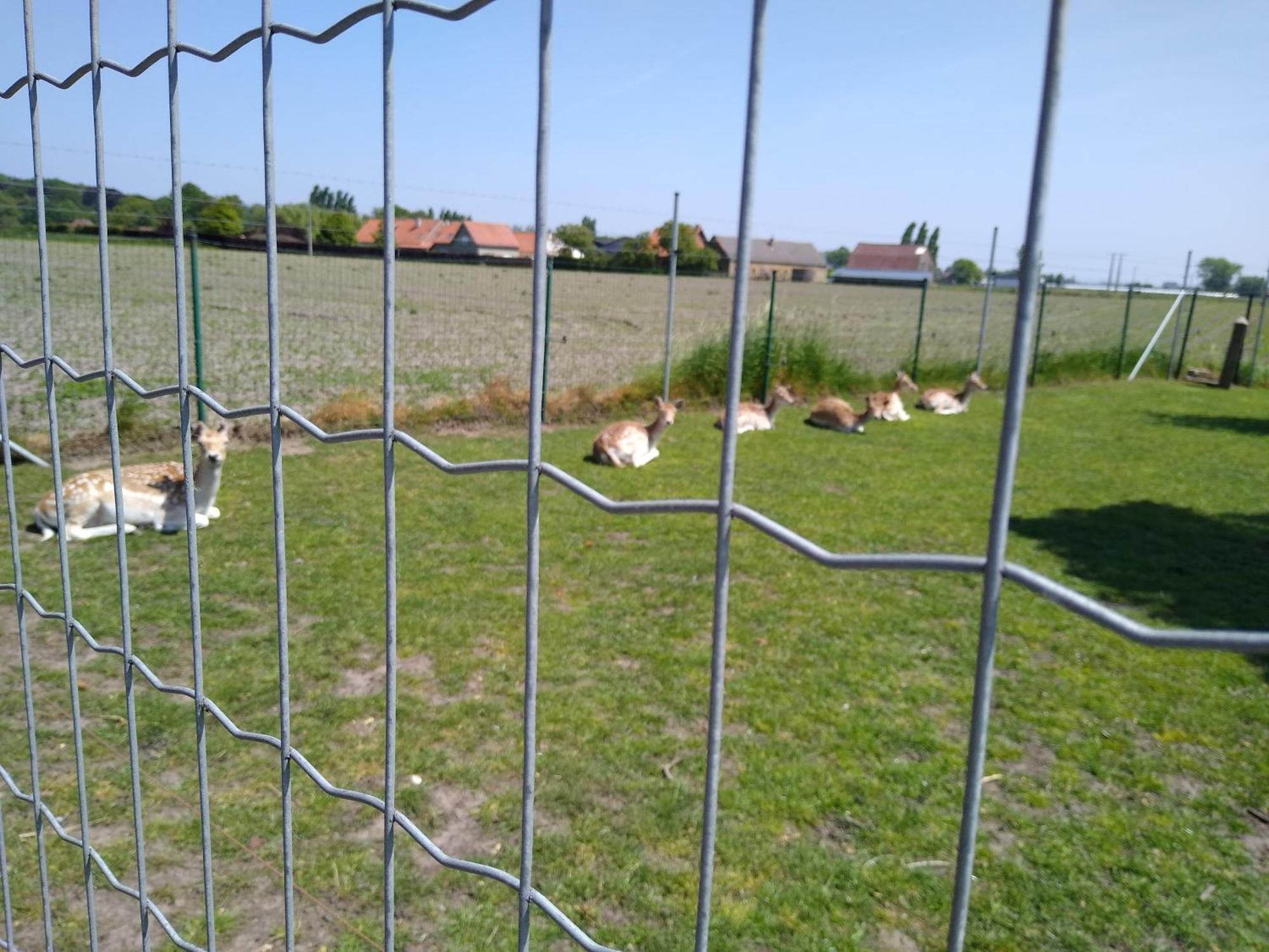 De Lekkermond Diksmuide